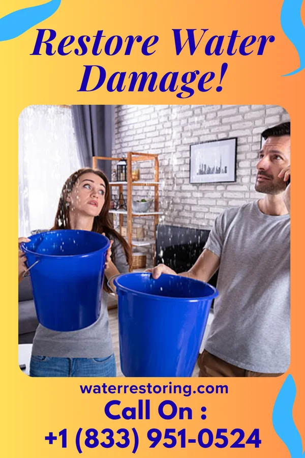 water restoration Galaxy Water Mitigation & Associates Edenborn