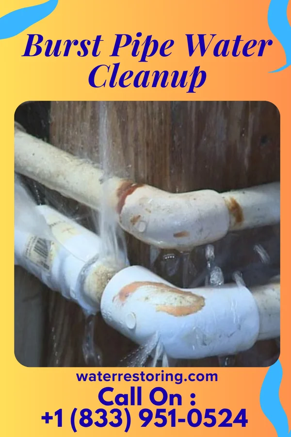 Burst Pipe Water Cleanup in Edenborn, PA