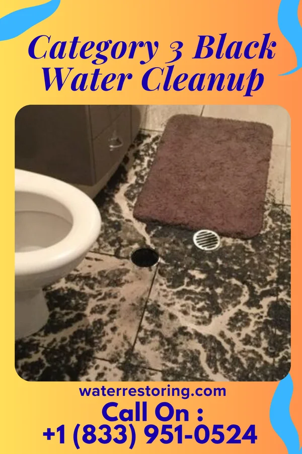 Category 3 Black Water Cleanup in Edenborn, PA