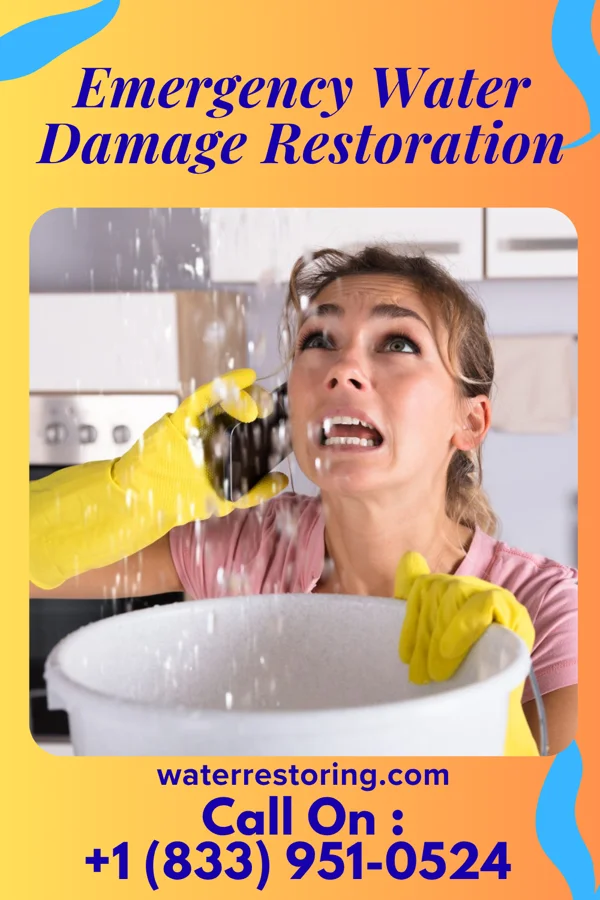 Emergency Water Damage Restoration in Edenborn, PA