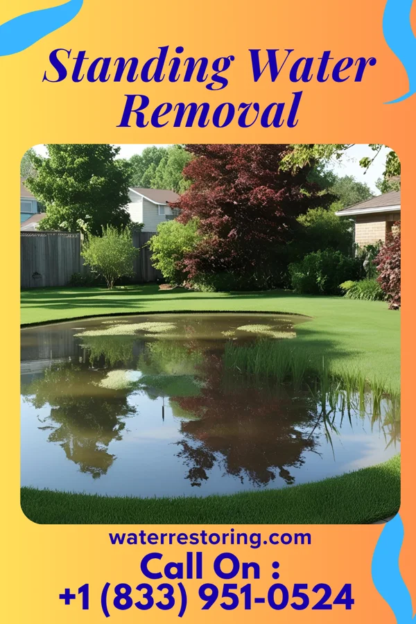 Standing Water Removal in Edenborn, PA